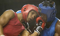 Italy and Cuba tied their boxing match five victories per side and one draw in Milan